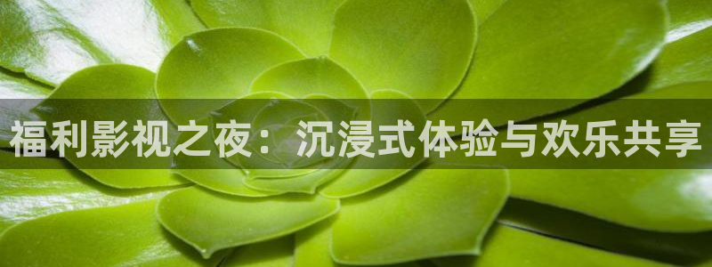 玖玖愛這里只有精品視頻：福利影視之夜：沉浸式體驗(yàn)與歡樂共享