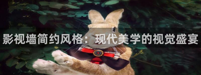 玖玖熱視頻在線：影視墻簡約風(fēng)格：現(xiàn)代美學(xué)的視覺盛宴